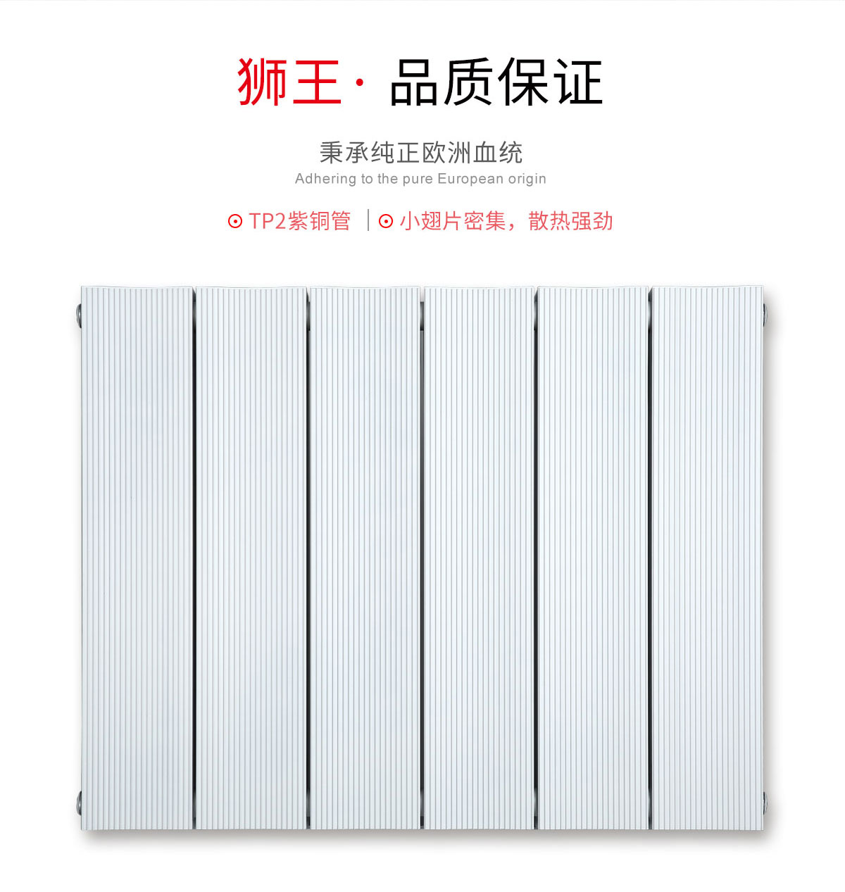 銅鋁復合暖氣片135x75